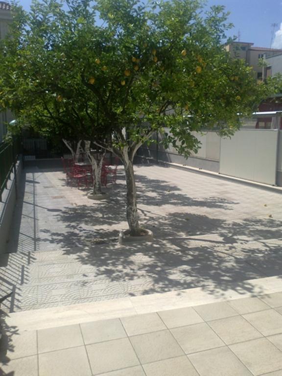Hotel Aurora Scauri  Exterior foto